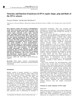 Structure and Function of Nucleases in DNA Repair: Shape, Grip and Blade of the DNA Scissors