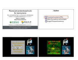 Fluorescent Protein-Based Tools for Neuroscience