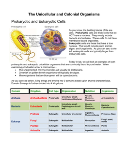 The Unicellular and Colonial Organisms Prokaryotic And