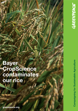 Bayer Cropscience Contaminates Our Rice