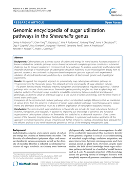 Genomic Encyclopedia of Sugar Utilization Pathways in The