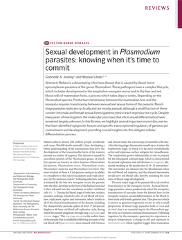 Sexual Development in Plasmodium Parasites: Knowing When It’S Time to Commit