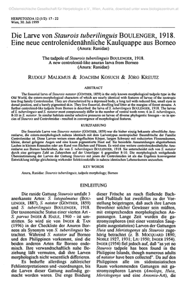 Die Larve Von Staurois Tuberilinguis BOULENGER, 1918. Eine Neue Centrolenidenähnliche Kaulquappe Aus Borneo (Anura: Ranidae)