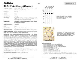 ALDH2 Antibody (Center)