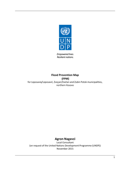 Agron Nagavci Local Consultant (On Request of the United Nations Development Programme (UNDP)) November 2015