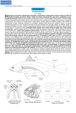 Sciaenidae 3117