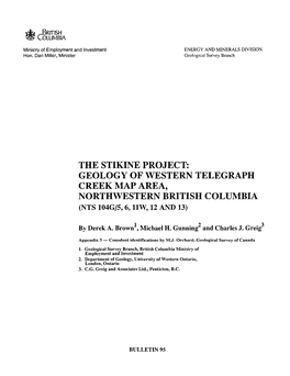 Stratigraphy of the Project Area