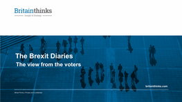 The Brexit Diaries the View from the Voters