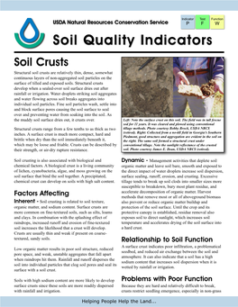 Soil Crusts Structural Soil Crusts Are Relatively Thin, Dense, Somewhat Continuous Layers of Non-Aggregated Soil Particles on the Surface of Tilled and Exposed Soils