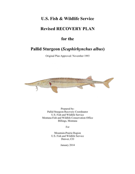 Pallid Sturgeon Recovery Plan