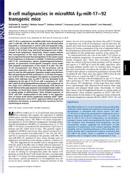 B-Cell Malignancies in Microrna Eμ-Mir-17∼92 Transgenic Mice