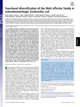 Functional Diversification of the Nleg Effector Family in Enterohemorrhagic Escherichia Coli