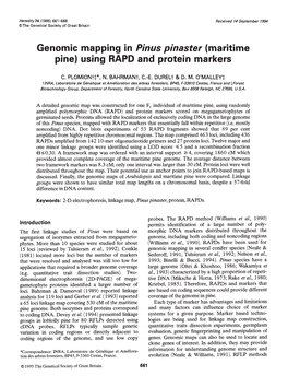 Genomic Mapping in Pinus Pinaster (Maritime Pine) Using RAPD and Protein Markers