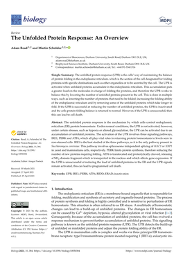 The Unfolded Protein Response: an Overview