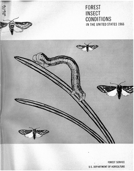 Forest Insect Conditions in the United States 1966