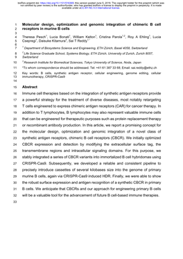 Molecular Design, Optimization and Genomic Integration of Chimeric B