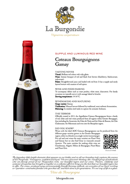 Coteaux Bourguignons Gamay