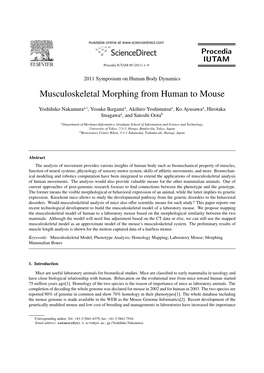 Musculoskeletal Morphing from Human to Mouse