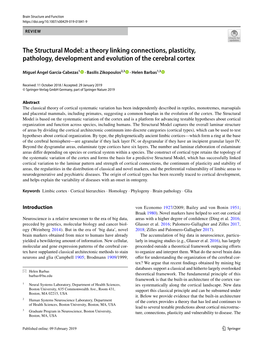 The Structural Model: a Theory Linking Connections, Plasticity, Pathology, Development and Evolution of the Cerebral Cortex