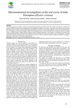 Macroanatomical Investigations on the Oral Cavity of Male Porcupines (Hystrix Cristata)