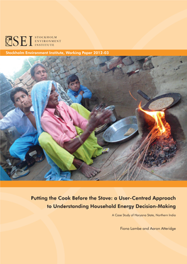 Putting the Cook Before the Stove: a User-Centred Approach to Understanding Household Energy Decision-Making a Case Study of Haryana State, Northern India