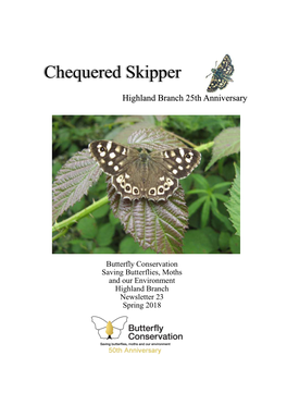 Chequered Skipper