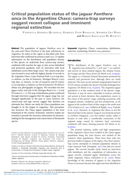 Critical Population Status of the Jaguar Panthera Onca in the Argentine Chaco: Camera-Trap Surveys Suggest Recent Collapse and Imminent Regional Extinction