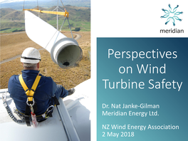 Perspectives on Wind Turbine Safety