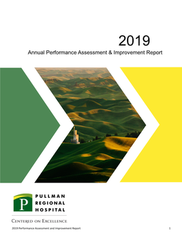 2019 Performance Improvement Report