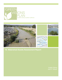 16. Watershed Assets Assessment Report