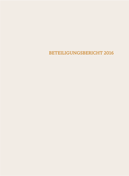 Beteiligungsbericht 2016