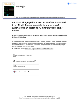 Revision of Pyrophilous Taxa of Pholiota Described from North America Reveals Four Species—P