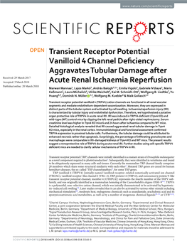 Transient Receptor Potential Vanilloid 4 Channel Deficiency Aggravates Tubular Damage After Acute Renal Ischaemia Reperfusion