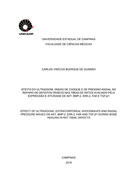 Universidade Estadual De Campinas Faculdade De Ciências Médicas Carlos Vinícius Buarque De Gusmão Efeito Do Ultrassom, Ondas