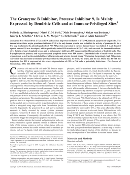 Cells and at Immune-Privileged Sites Dendritic Inhibitor 9, Is Mainly