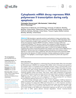 Cytoplasmic Mrna Decay Represses RNA Polymerase II Transcription