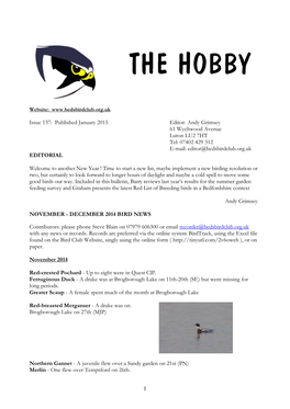 The Hobby 137 – Published January 2015