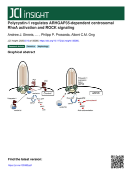 Polycystin-1 Regulates ARHGAP35-Dependent Centrosomal Rhoa Activation and ROCK Signaling