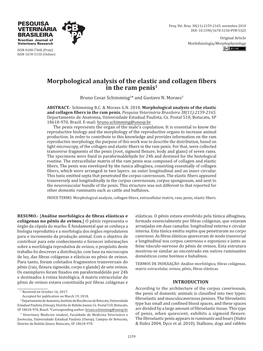 Morphological Analysis of the Elastic and Collagen Ibers in the Ram Penis1