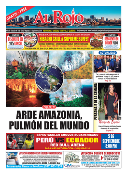 Arde Amazonia, Pulmón Del Mundo