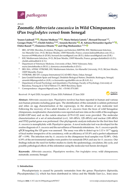 Zoonotic Abbreviata Caucasica in Wild Chimpanzees (Pan Troglodytes Verus) from Senegal