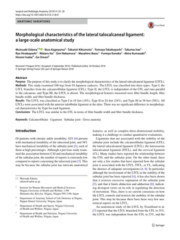 Morphological Characteristics of the Lateral Talocalcaneal Ligament: a Large-Scale Anatomical Study