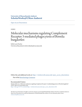 Molecular Mechanisms Regulating Complement Receptor 3-Mediated