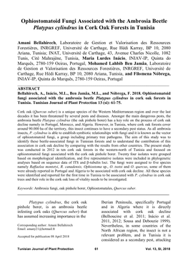 Ophiostomatoid Fungi Associated with the Ambrosia Beetle Platypus Cylindrus in Cork Oak Forests in Tunisia