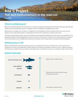 Learn More About Methylmercury in Fish