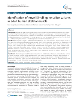 Identification of Novel Kirrel3 Gene Splice Variants in Adult Human