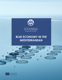 Blue Economy in the Mediterranean