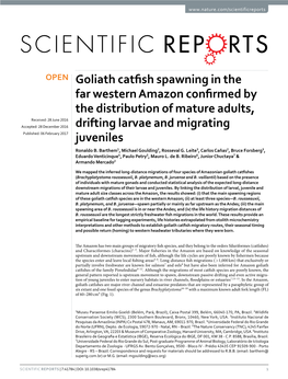 Goliath Catfish Spawning in the Far Western Amazon Confirmed by the Distribution of Mature Adults, Drifting Larvae and Migrating Juveniles