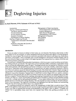 18.2 1 Degloving Injuries