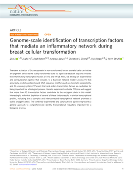 Genome-Scale Identification of Transcription Factors That Mediate An